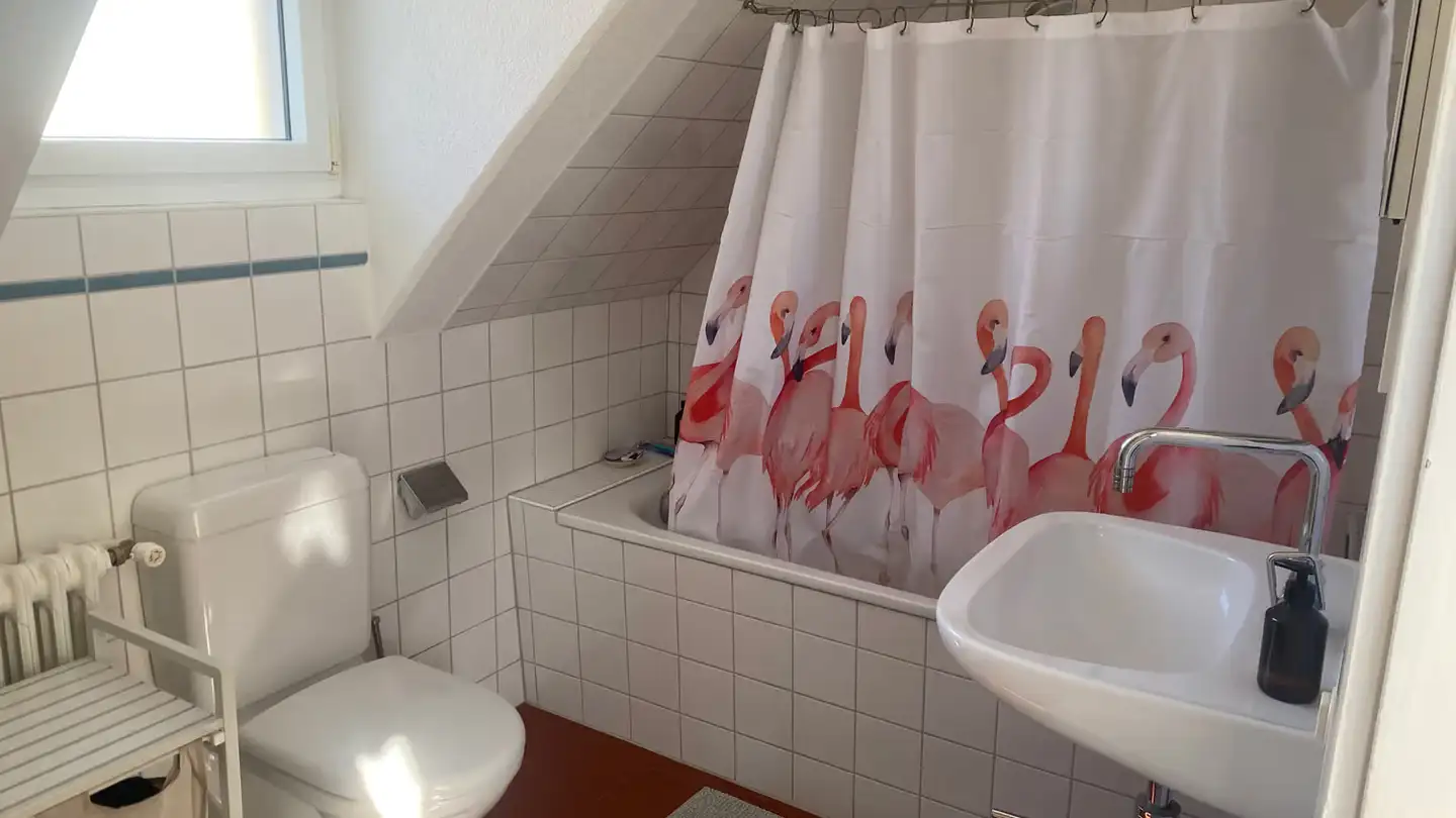 Chambre à louer - Winkelstrasse 6, 8046 Zürich - Photo 3