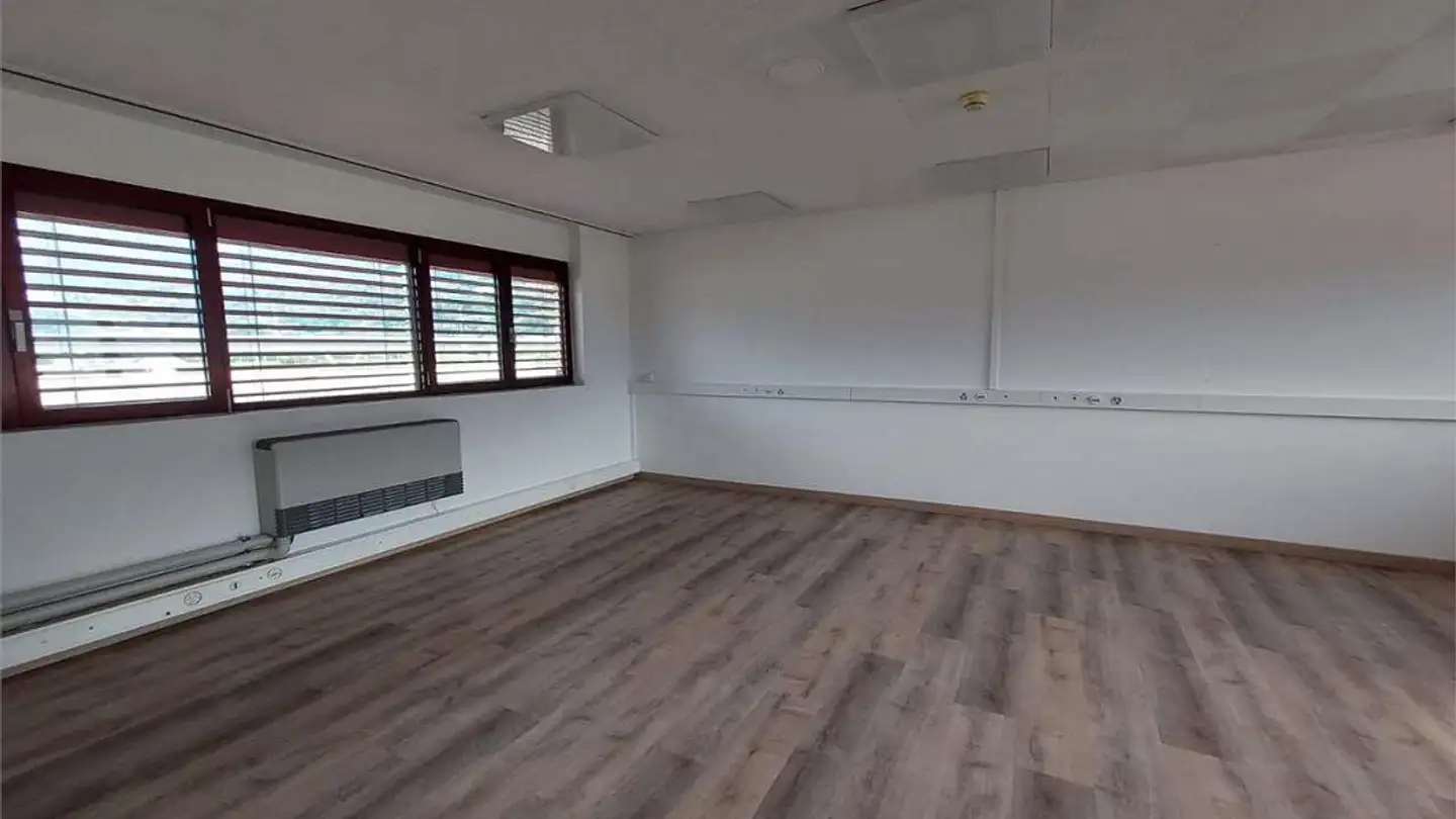 Office space for rent - In Tirada, 6528 Camorino - Photo 4