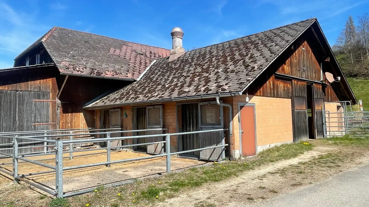 Apartment for rent - 3436 Zollbrück - Photo 2