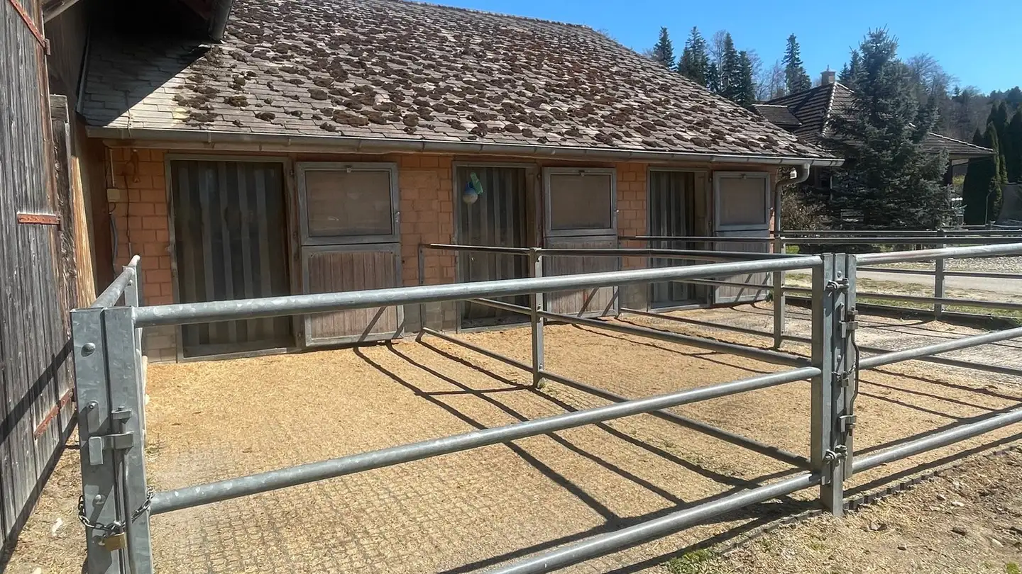 Apartment for rent - 3436 Zollbrück - Photo 3