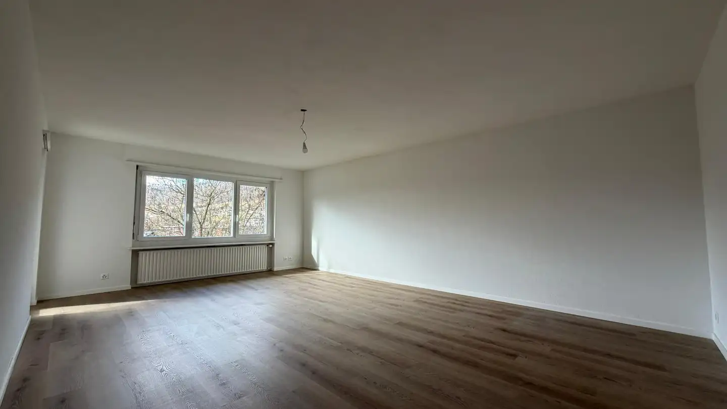 Apartment for rent - Strengenfeldweg 6, 4222 Zwingen - Photo 4