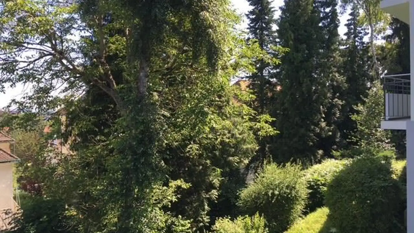 Appartamento ammobiliato in affitto - Unterer Batterieweg, 4059 Basel