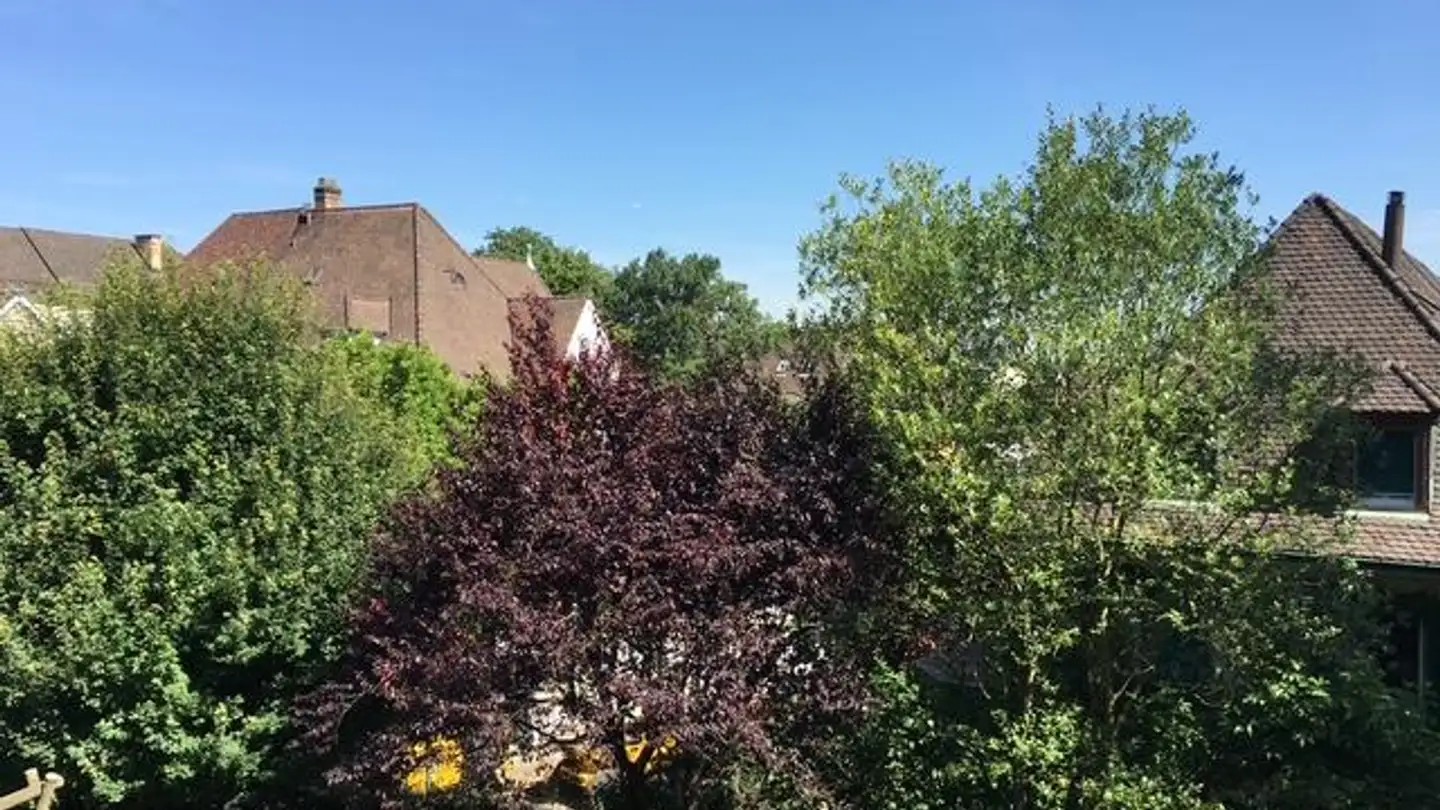 Appartamento ammobiliato in affitto - Unterer Batterieweg, 4059 Basel - Foto 4