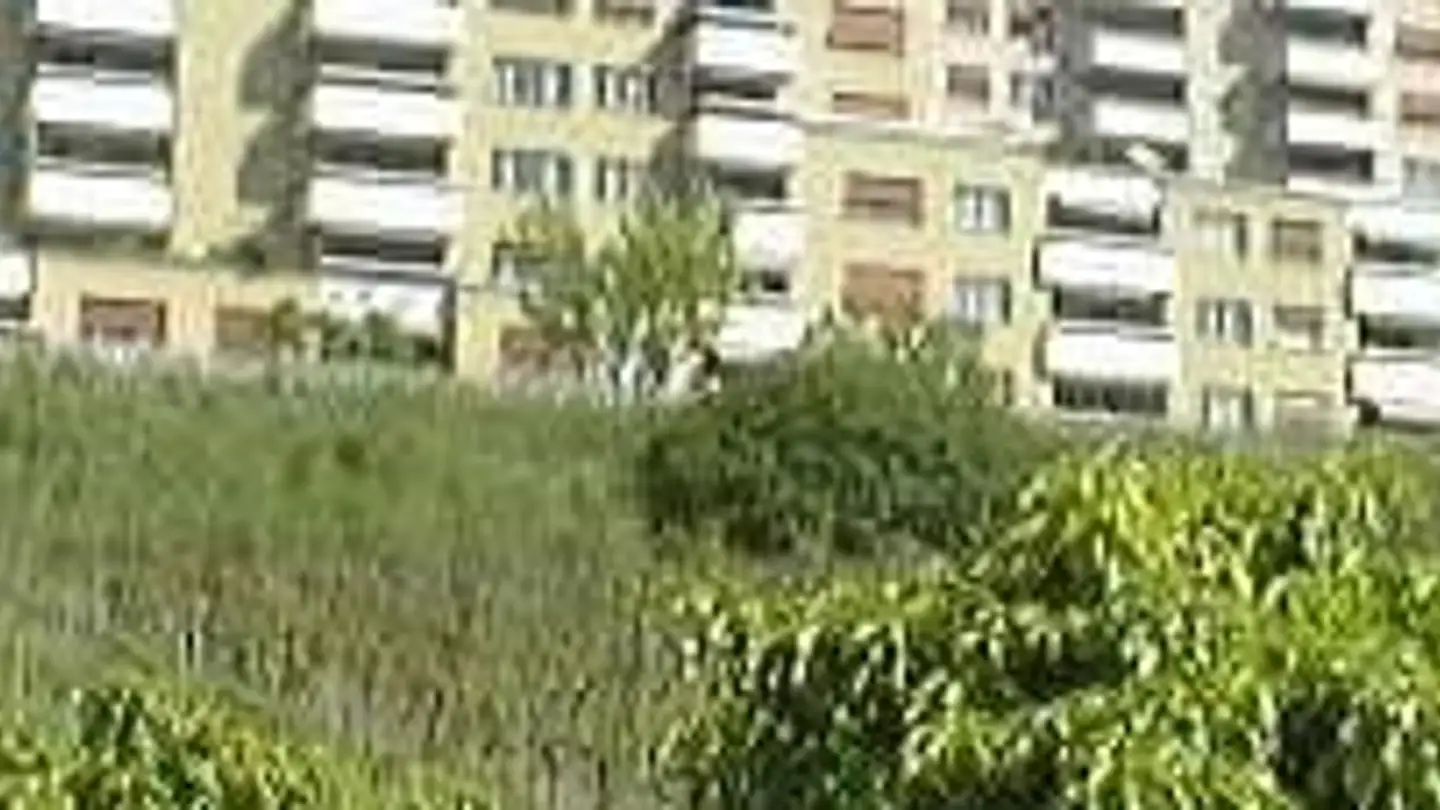 Appartement à louer - Rue De La Dîme 90, 2000 Neuchâtel