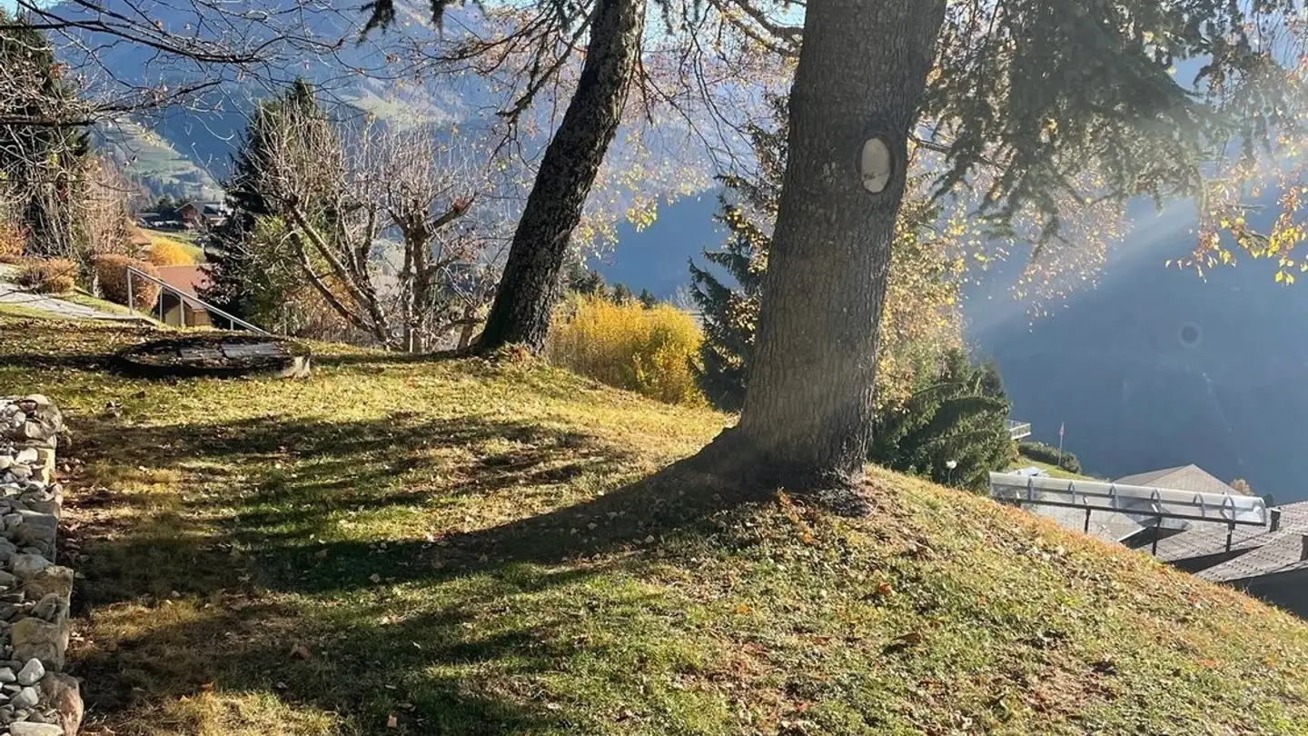 Apartment for rent - 1854 Leysin - Photo 3