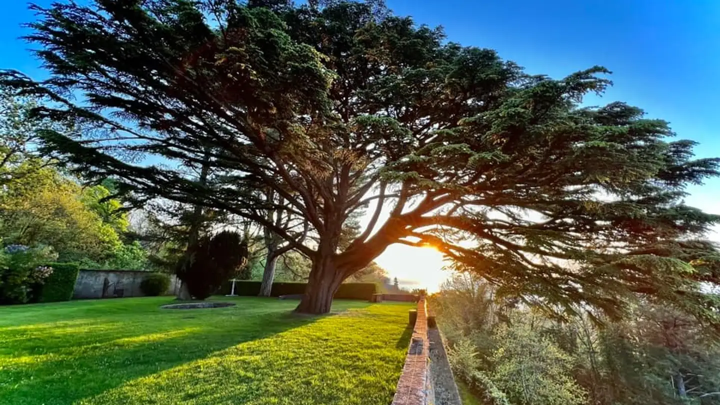 Appartamento in affitto - 2028 Vaumarcus - Foto 3