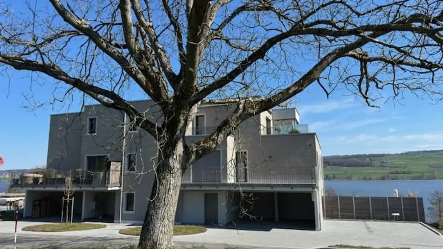 Appartamento in affitto - Muttenstrasse 33, 5712 Beinwil am See - Foto 2