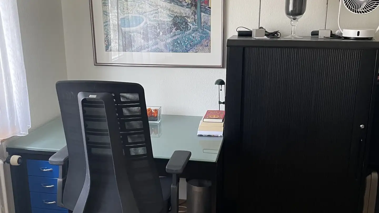 Single room for rent - 8706 Meilen - Photo 2