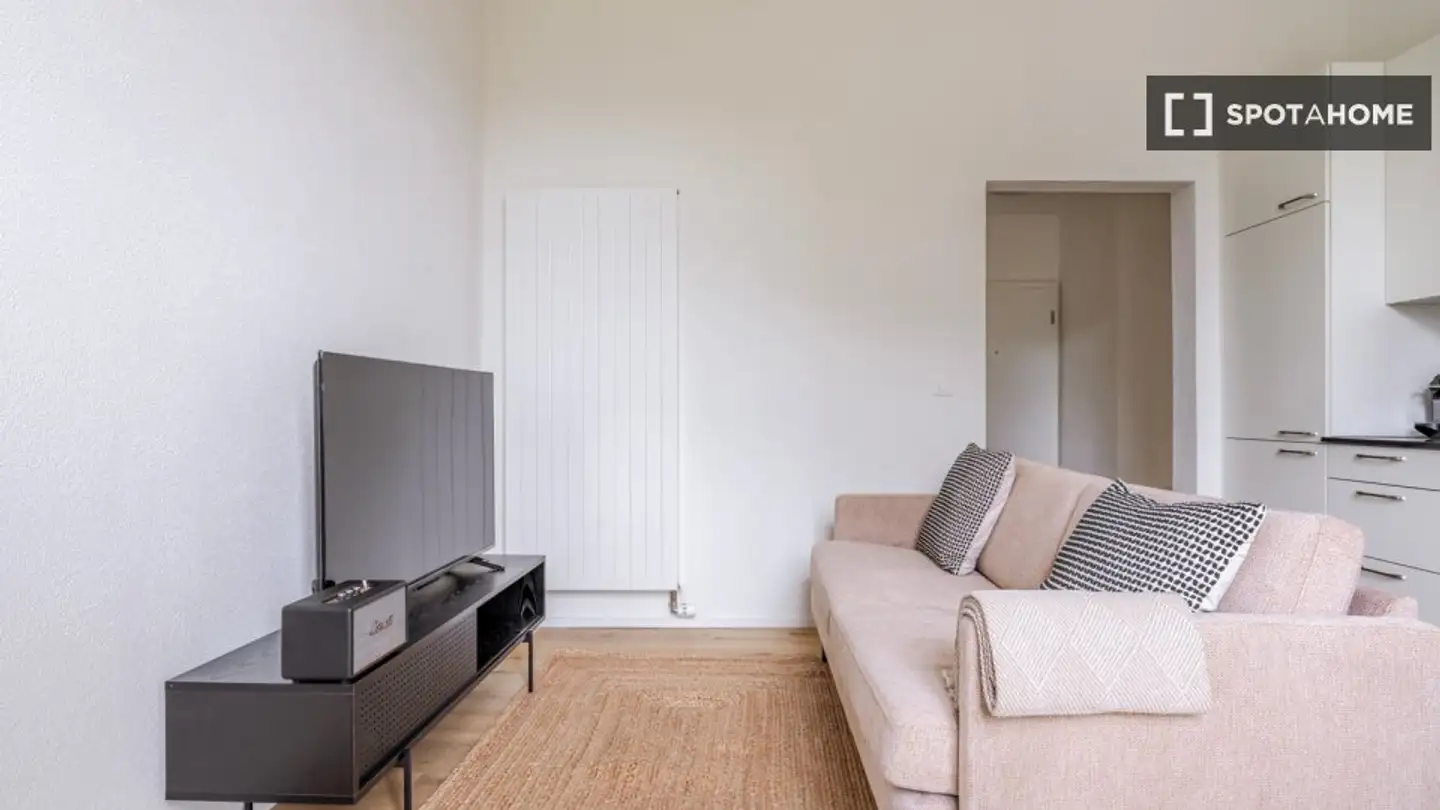 Apartment for rent - 8052 Zürich