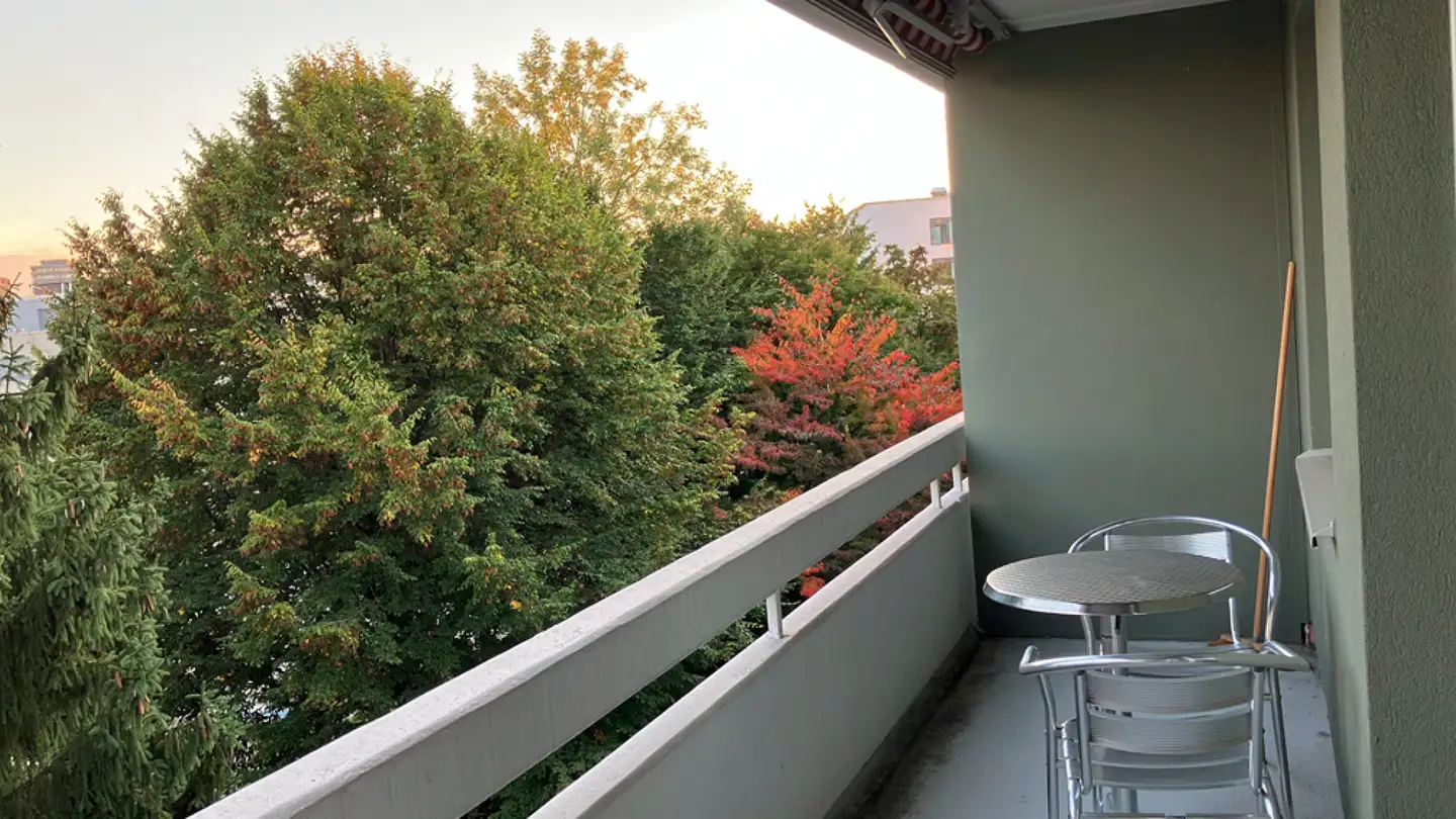 Penthouse for rent - Brunnenwiesenstrasse, 8610 Uster