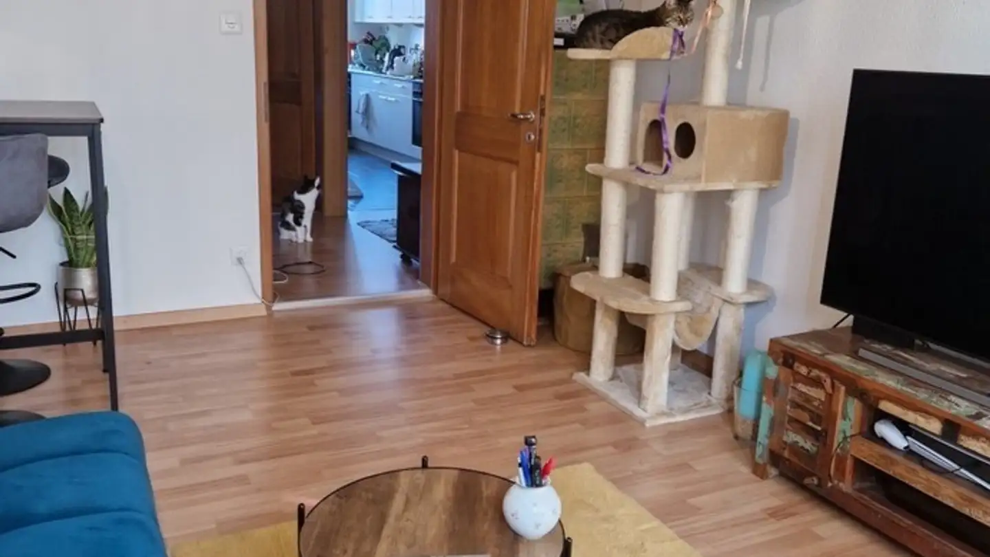 Appartamento in affitto - 8173 Neerach - Foto 2