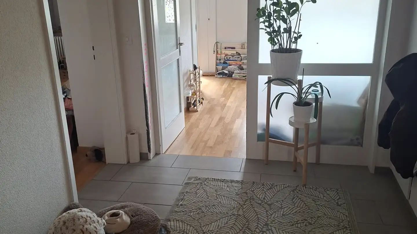 Wohnung mieten - Gryphenhübeliweg 42, 3006 Bern
