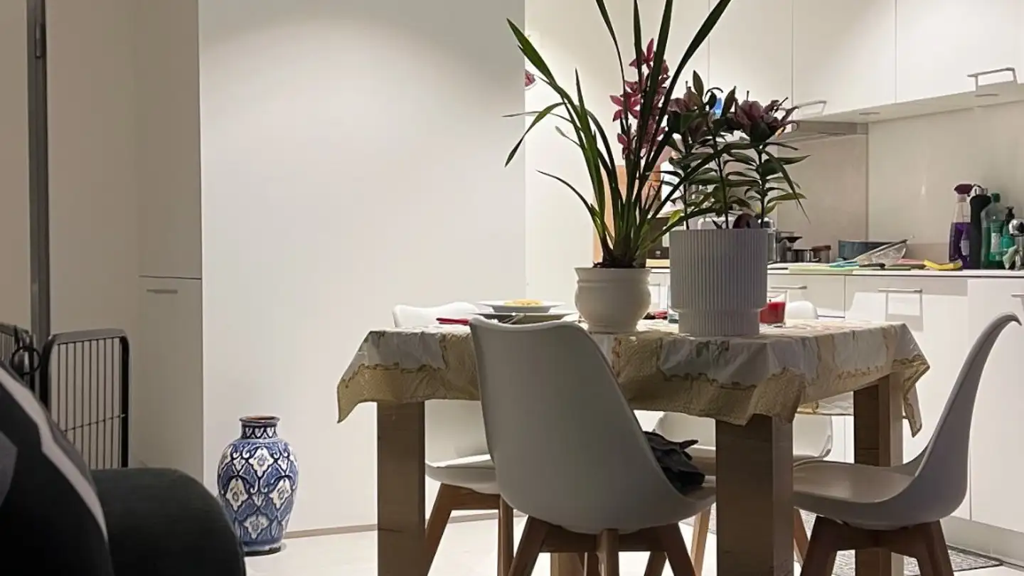 Appartamento in affitto - Via dell'Indipendenza, 6826 Riva San Vitale - Photo 2