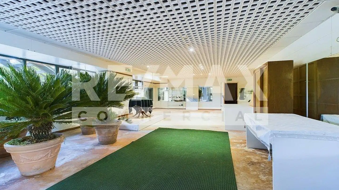 Gewerbe kaufen - 6988 Ponte Tresa - Foto 4