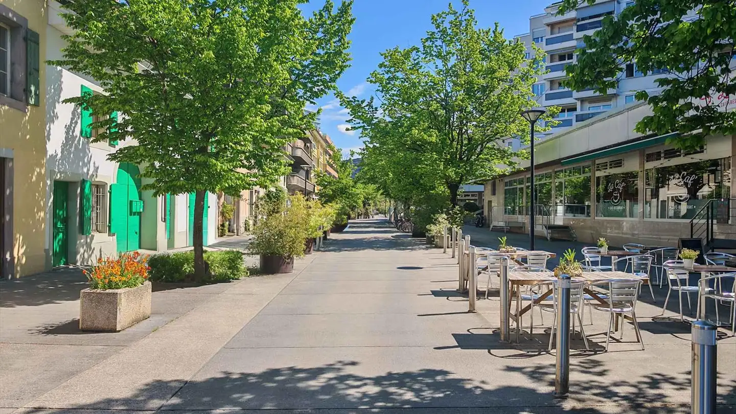Arkade mieten - Rue Peillonnex 8, 1225 Chêne-Bourg - Foto 4
