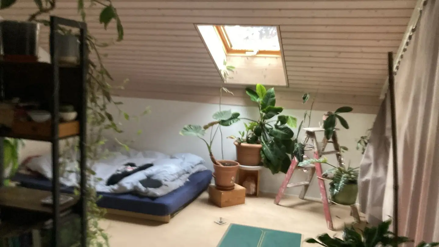 Single room for rent - Schulhausstrasse, 3629 Jaberg