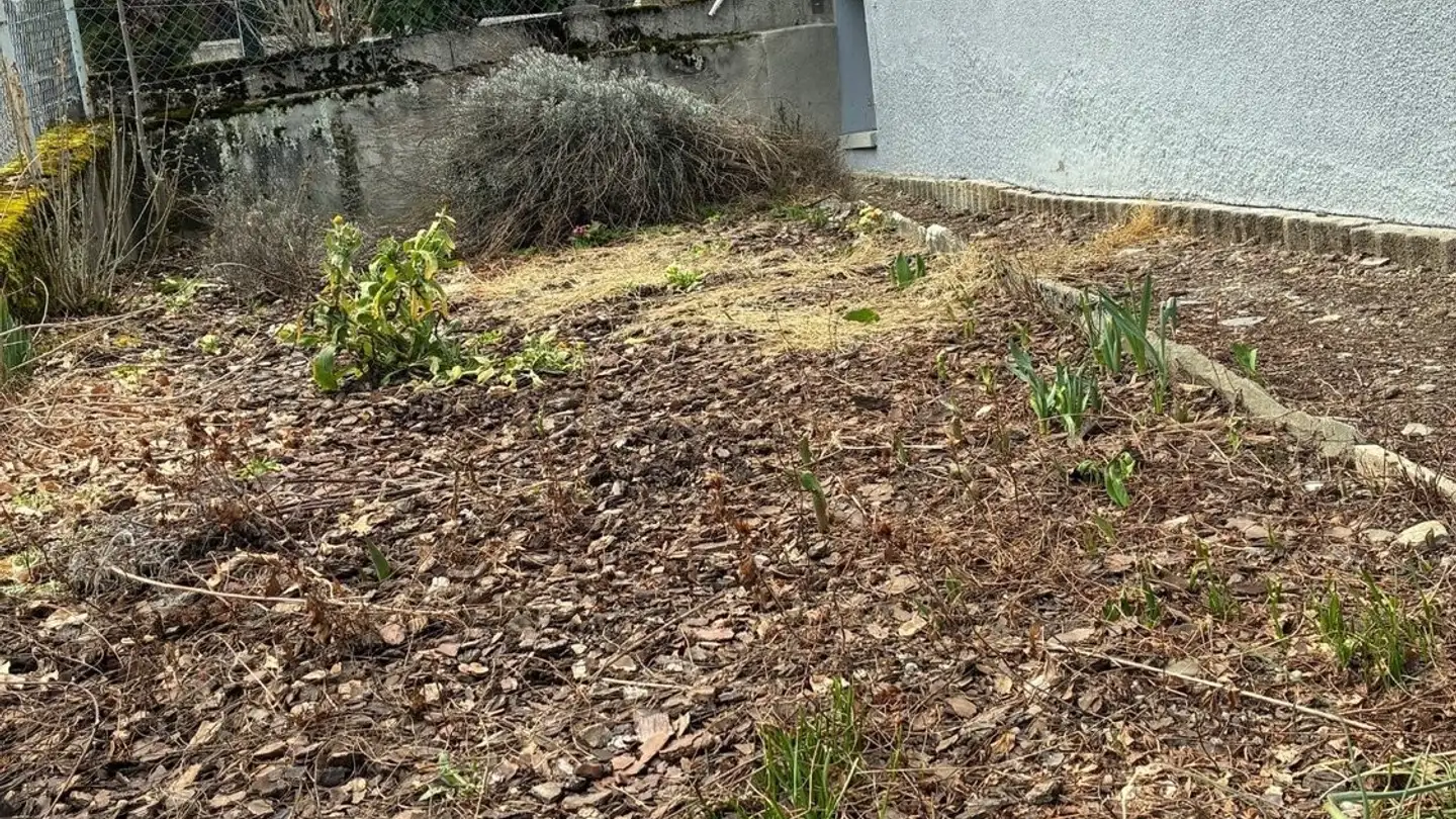 Wohnung mieten - 1870 Monthey - Foto 2