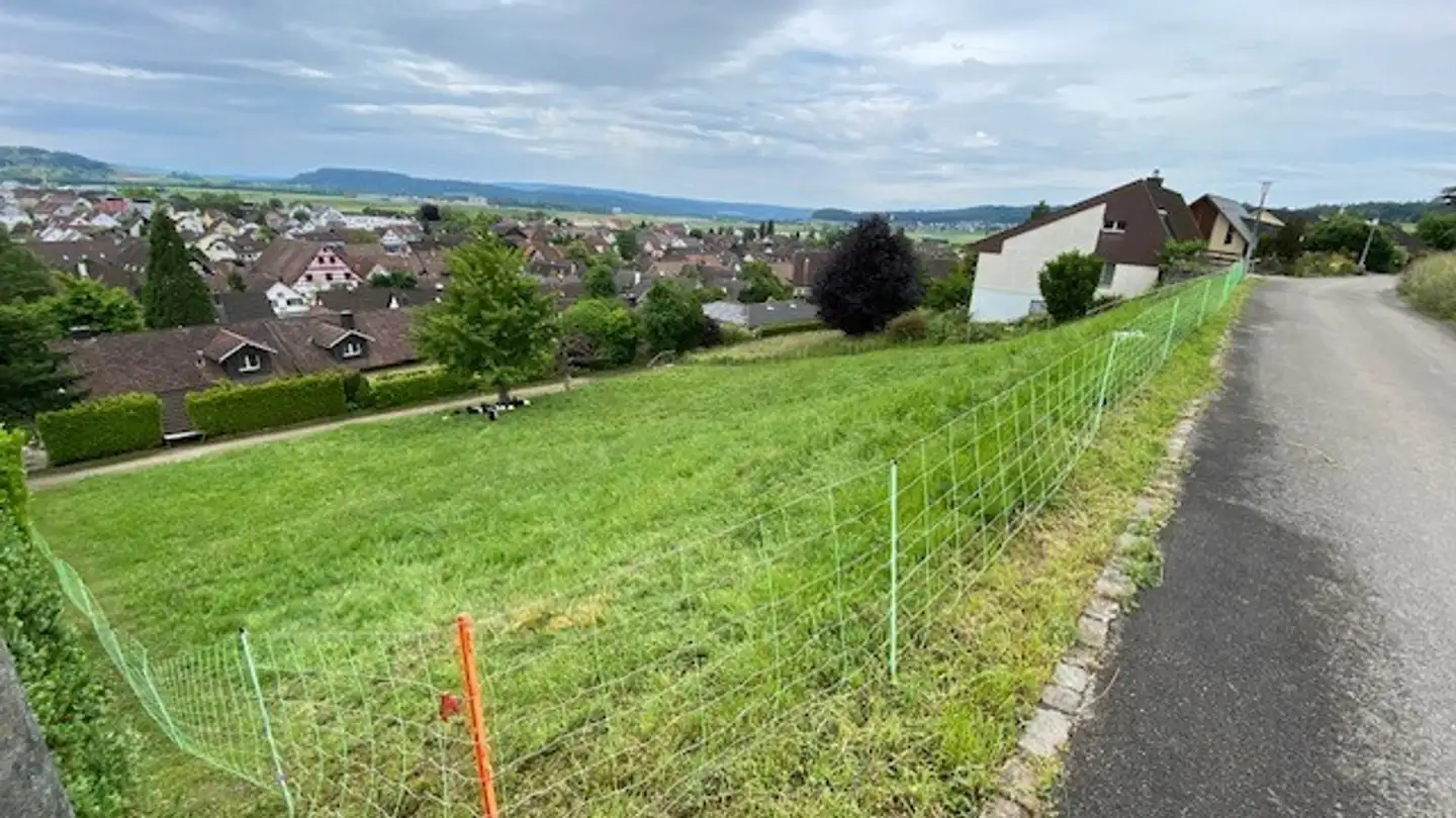 Terrain constructible à vendre - Götze, 8197 Rafz