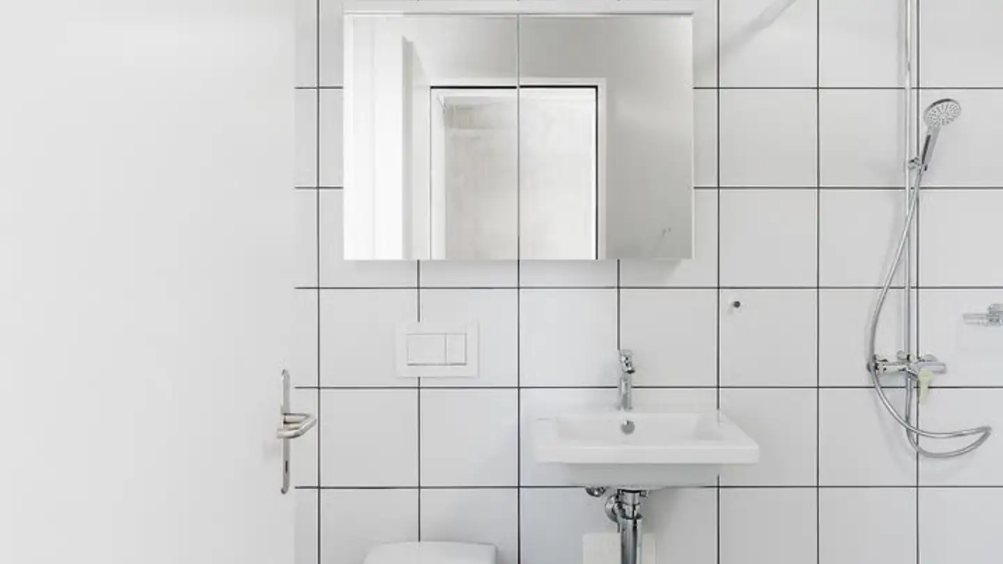 Duplex à louer - Neuhardstrasse 9, 8105 Regensdorf - Photo 3