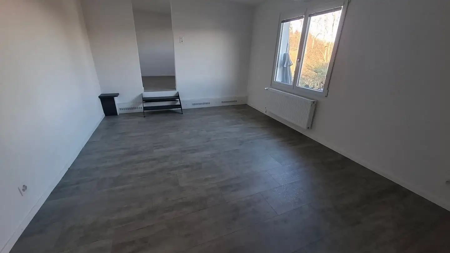 Studio in affitto - Binzhaldenstrasse 34, 5726 Unterkulm - Foto 4
