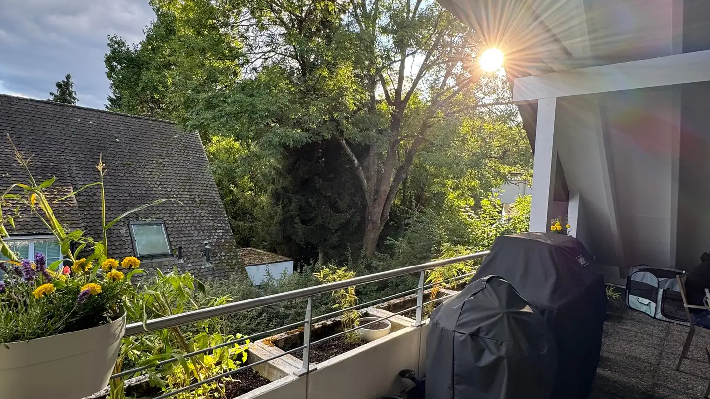 Attico in vendita - 4153 Reinach BL - Photo 2