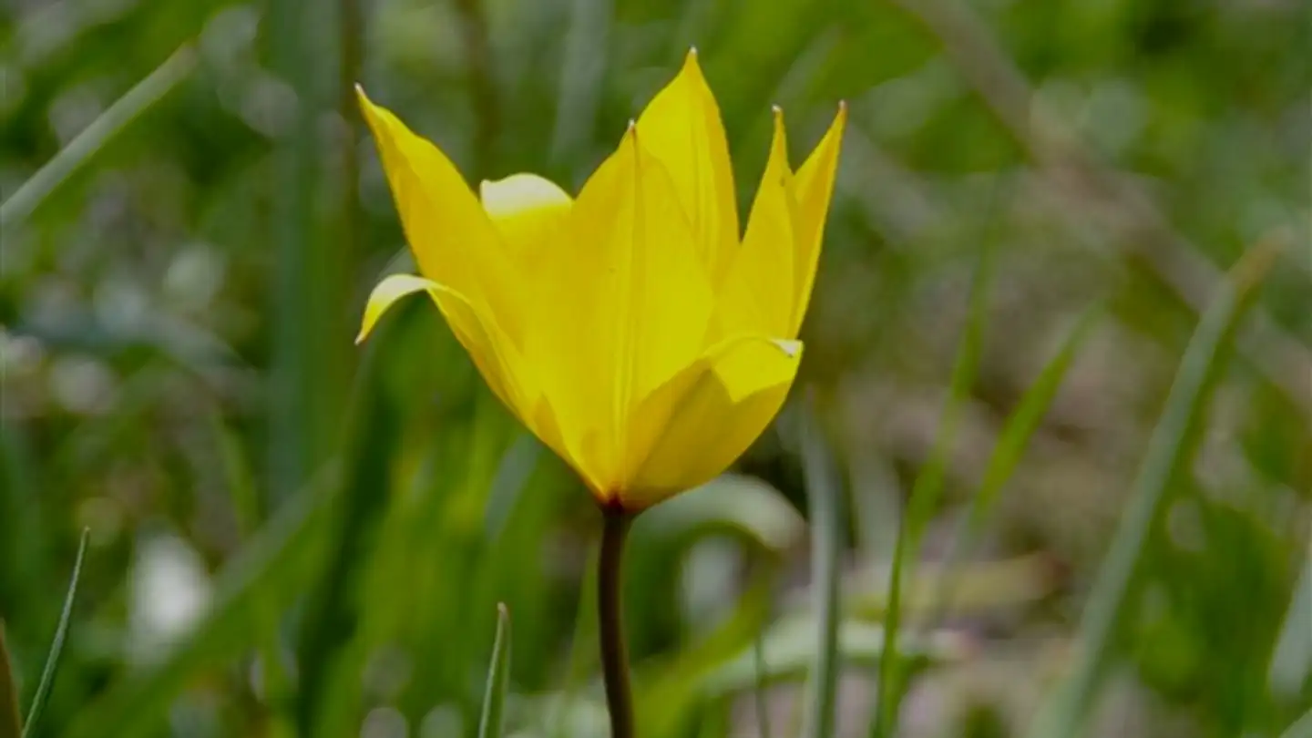 Chalet in vendita - 1966 St-Romain (Ayent) - Photo 2
