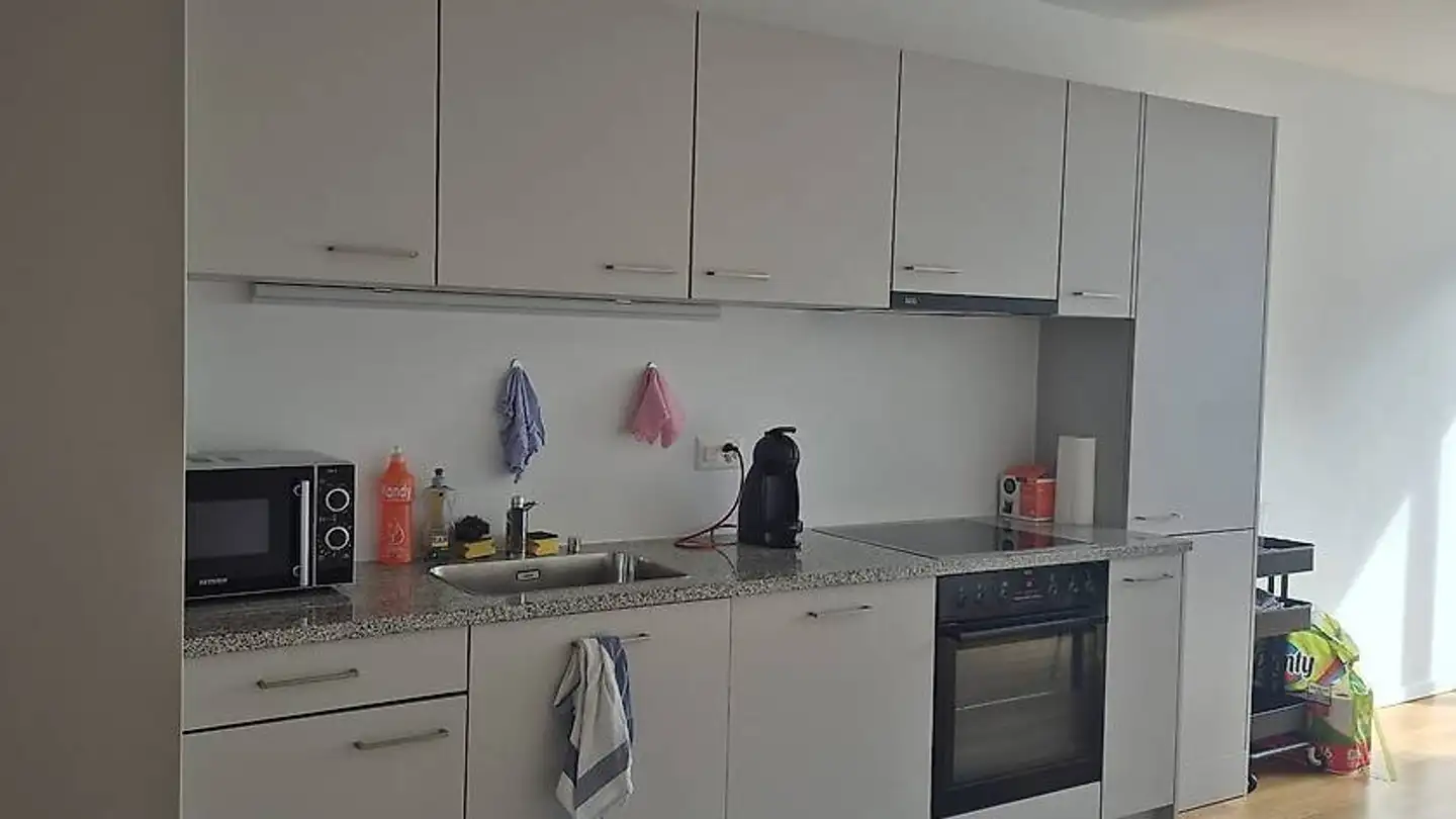 Appartamento in affitto - Avenue De Tourbillon, 1950 Sion - Photo 3