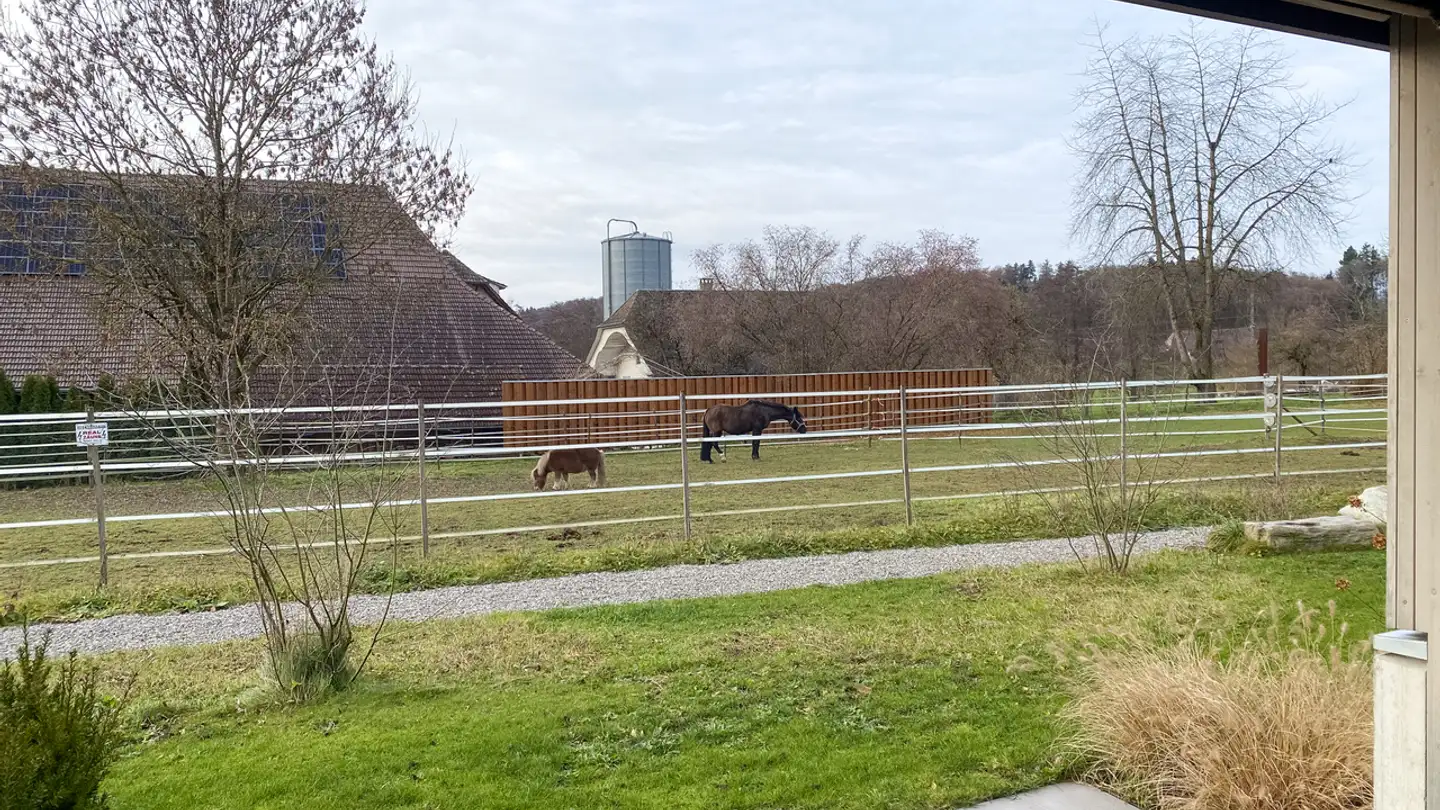 Appartement à vendre - Mühlestrasse 34, 3362 Niederönz - Photo 2