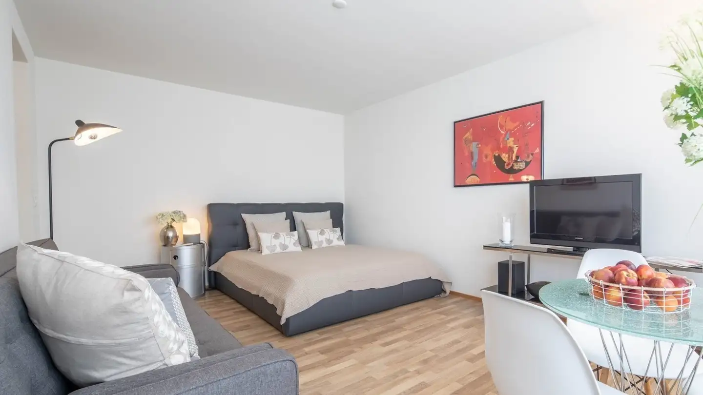 Möblierte Wohnung mieten - Kalkbreitestrasse 41, 8003 Zürich