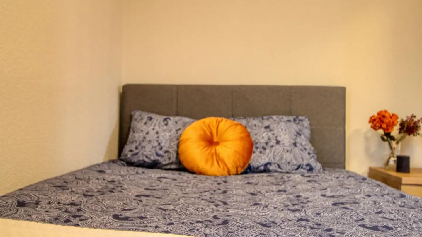 Chambre à louer - Manessestrasse, 8045 Zürich