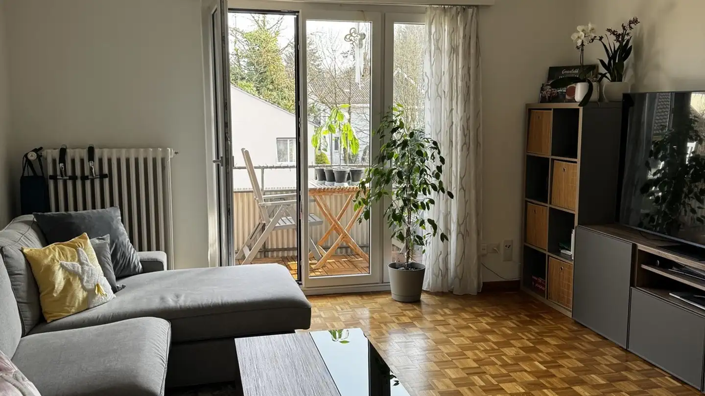 Appartement à louer - Winkelstrasse 5, 8046 Zürich
