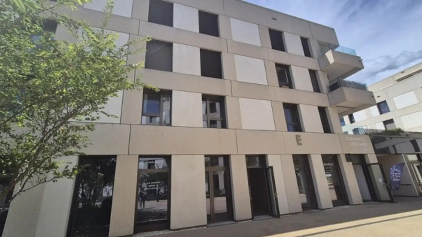 Commerciale in affitto - Rue Des Comtes, 1680 Romont FR - Foto 3