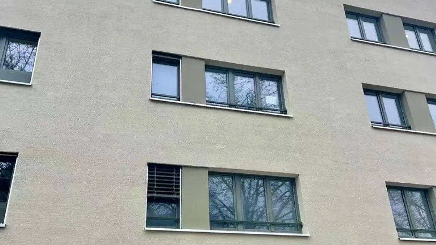 Appartamento in affitto - Wehntalerstrasse 585, 8046 Zürich - Foto 3