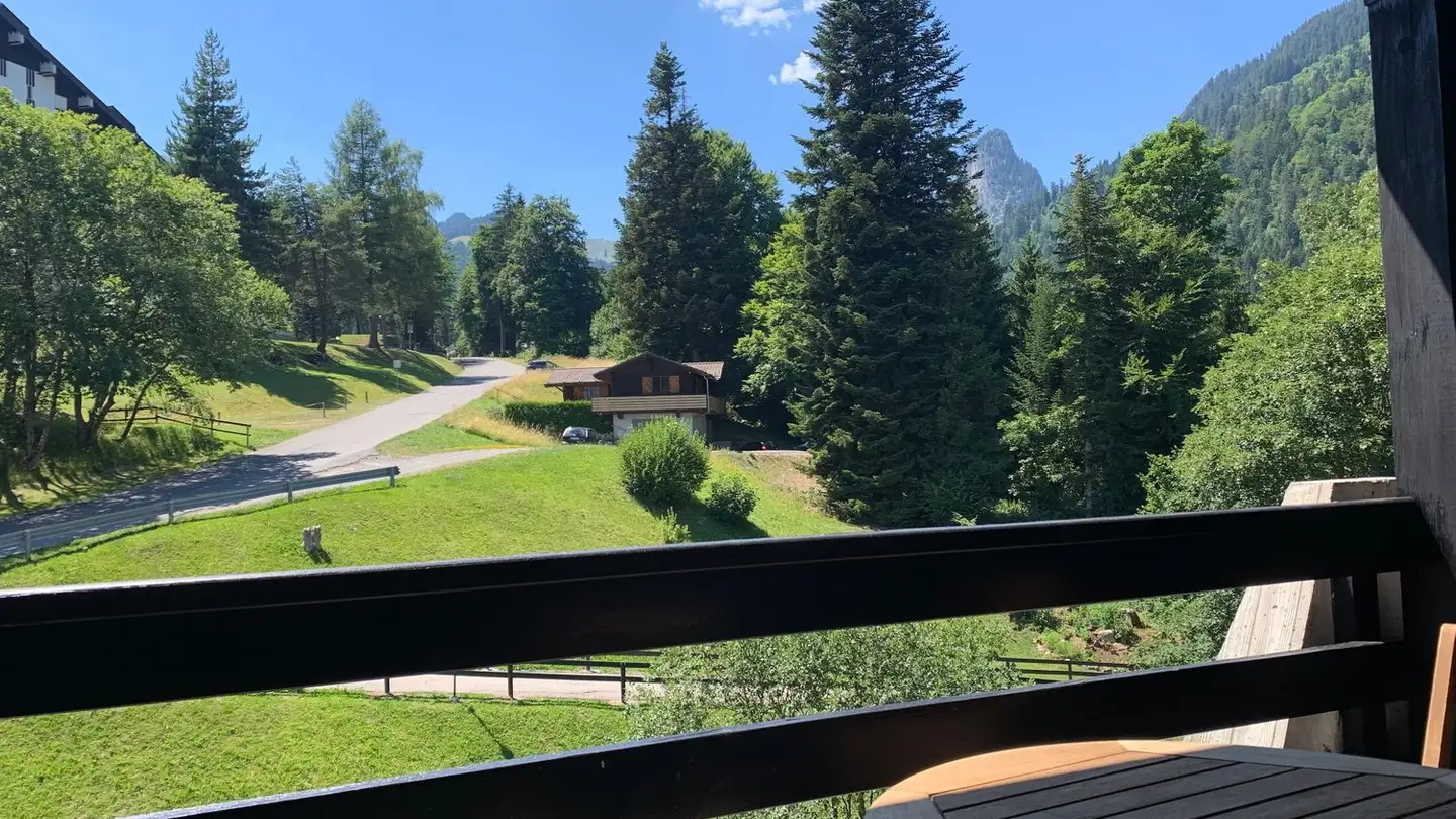 Wohnung kaufen - Route De La Jorette 39, 1899 Torgon