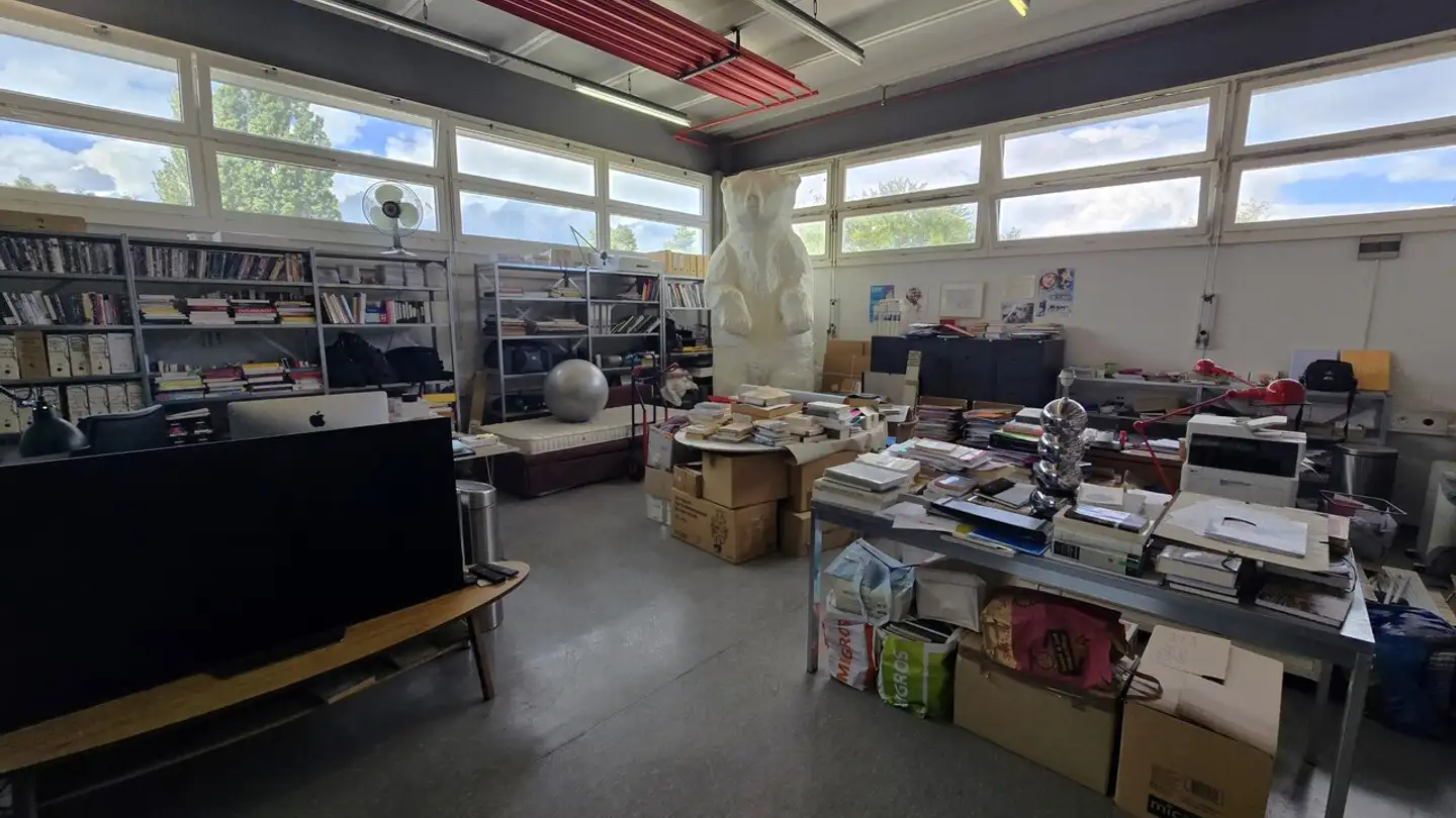 Commerciale in affitto - Avenue Du Mont-Blanc 31, 1196 Gland - Photo 4