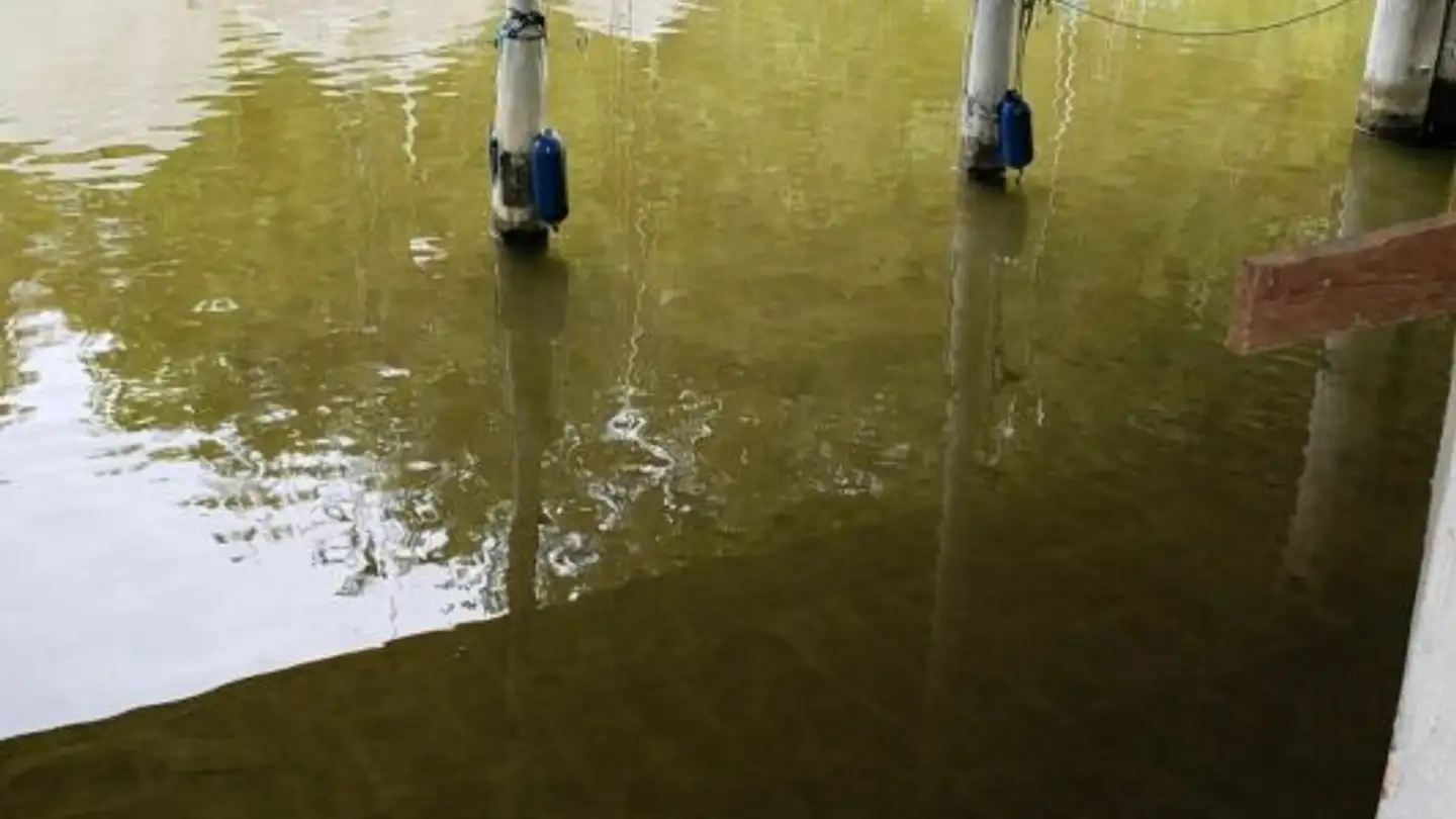 Property for sale - Seewiesenstrasse, 9322 Egnach - Photo 2