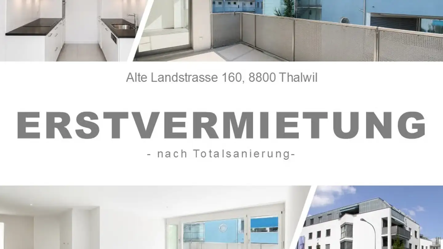 Appartement à louer - Alte Landstrasse 160, 8800 Thalwil