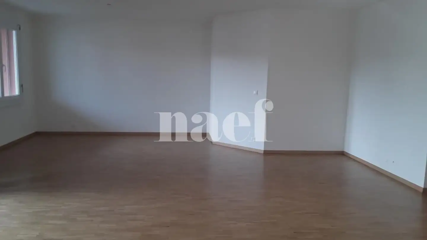 Appartamento in affitto - Chemin De La Roselière 6, 1293 Bellevue - Foto 2