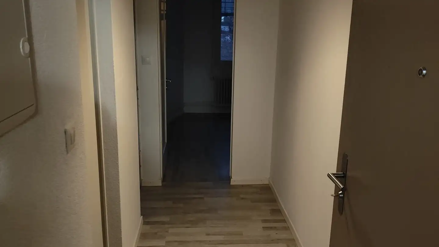 Apartment for rent - 8200 Schaffhausen - Photo 4