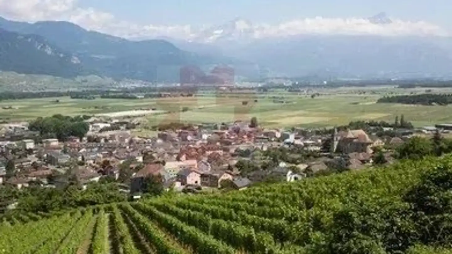 Apartment for sale - Rue Du Pied-De-Ville 21, 1896 Vouvry