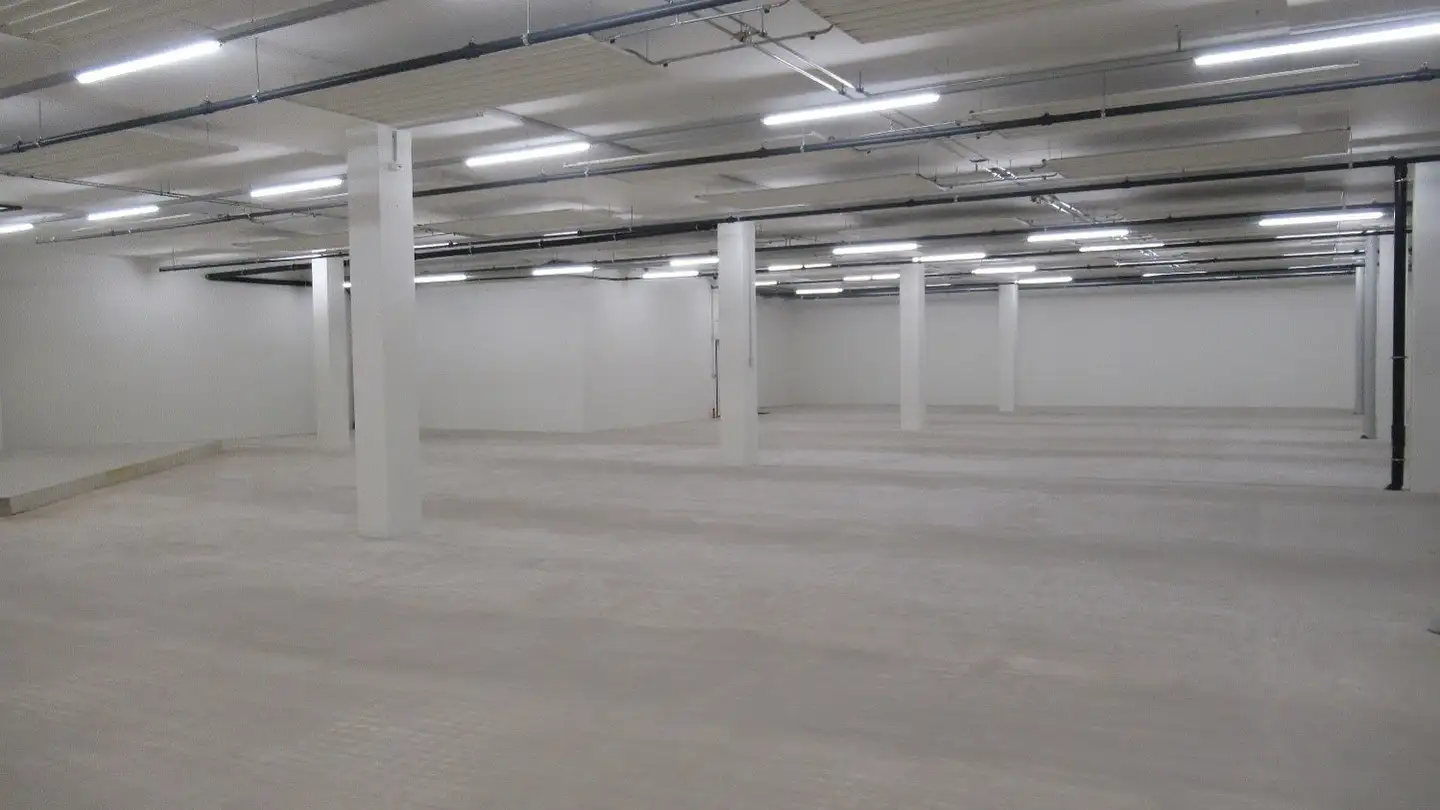 Storage space for rent - Grüssenhölzliweg 5, 4133 Pratteln