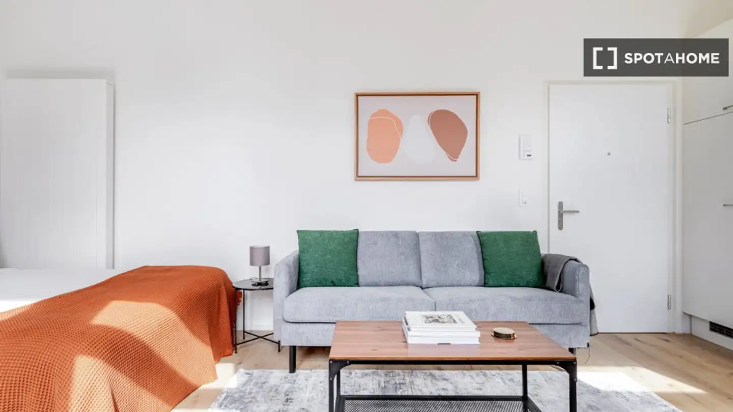 Studio for rent - 8052 Zürich