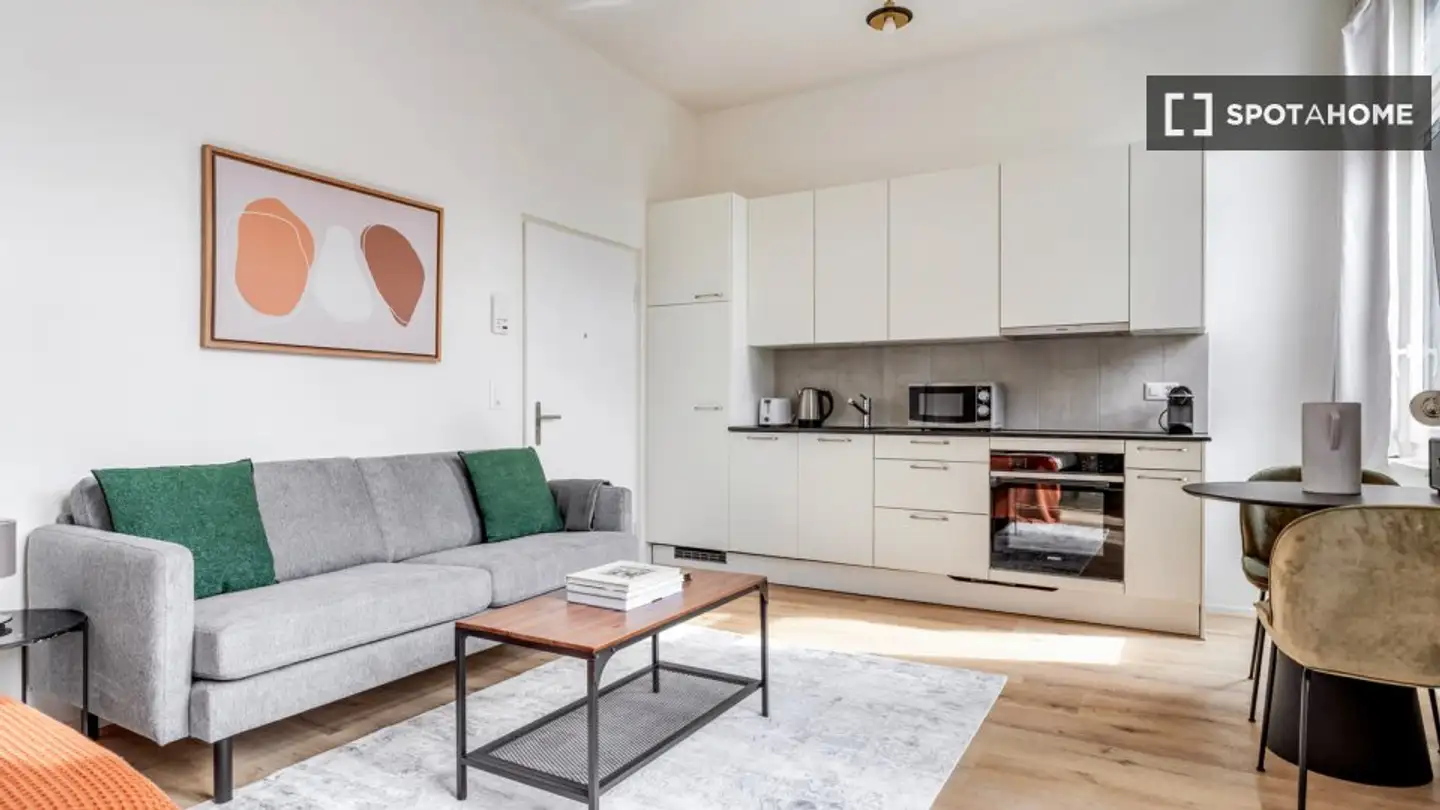 Studio for rent - 8052 Zürich - Photo 2