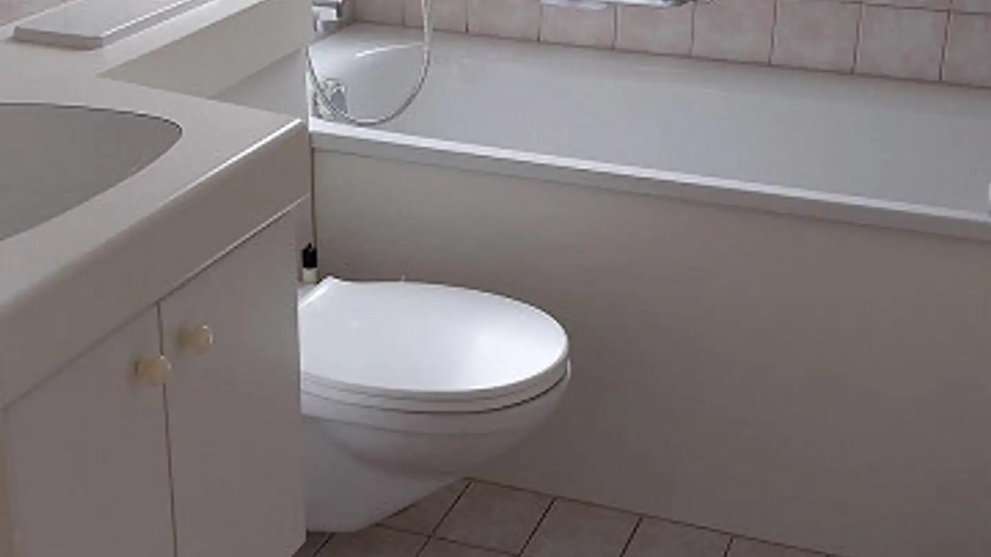 Appartamento in affitto - Zollstrasse 45, 8212 Neuhausen am Rheinfall - Foto 3