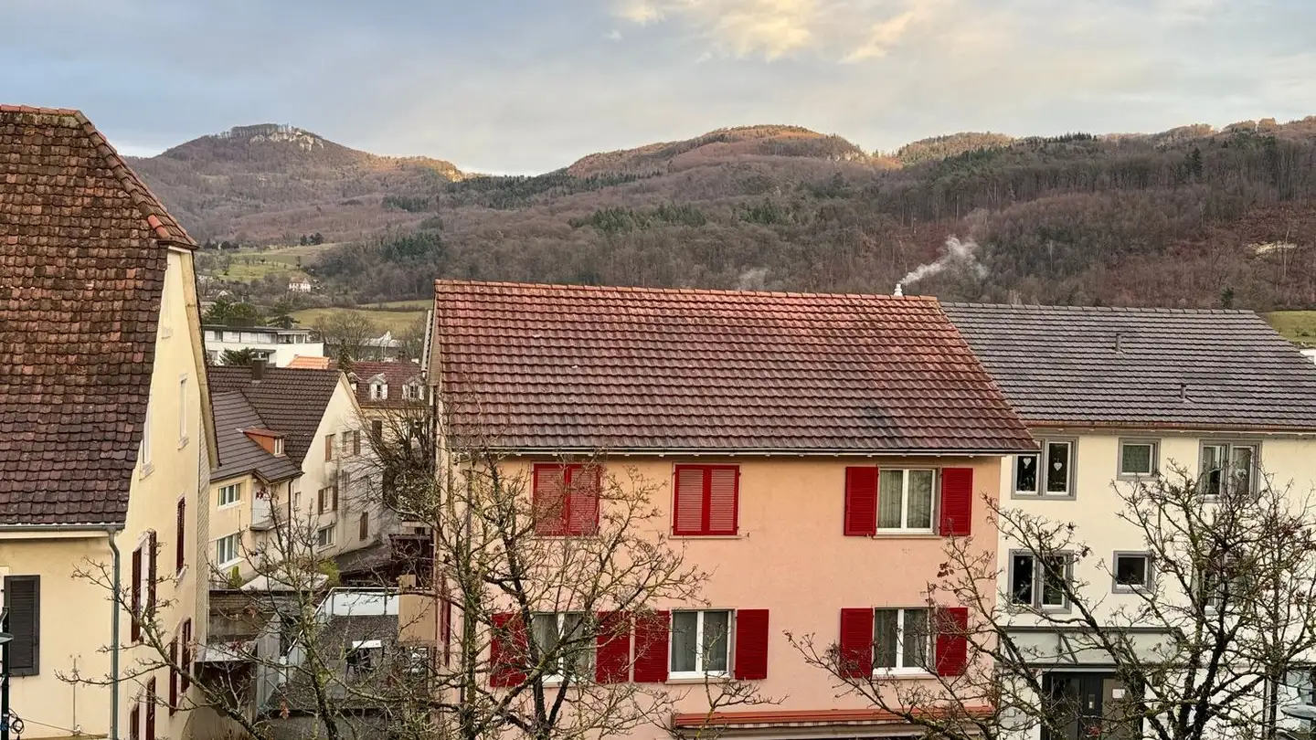 Attic flat for rent - Hauptstrasse 71, 4147 Aesch BL