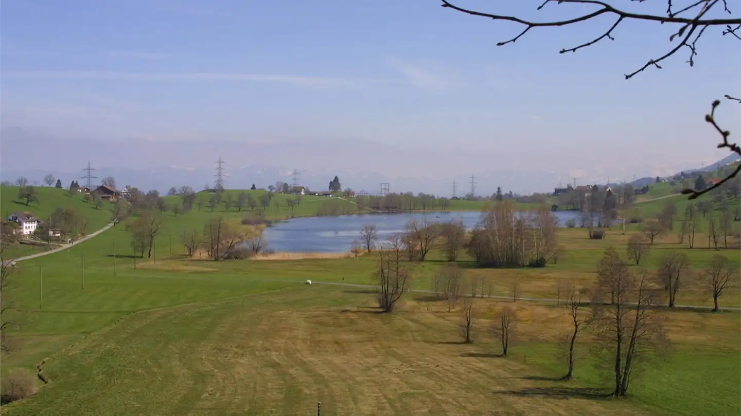 Appartamento in affitto - Böschenstrasse 1, 8825 Hütten