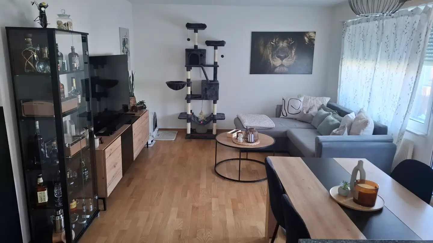 Apartment for rent - Sägeweg 13, 3270 Aarberg - Photo 4