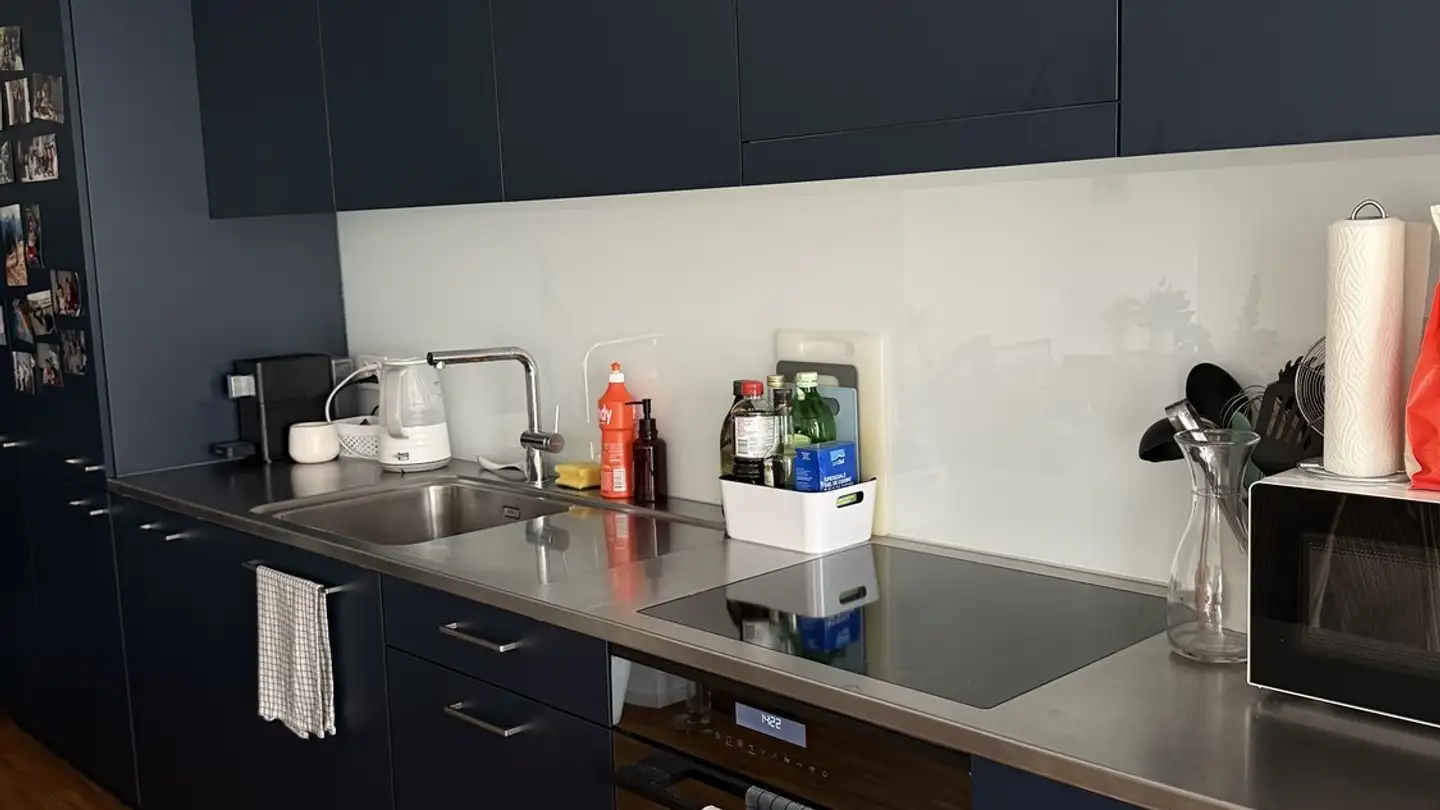 Chambre à louer - 8052 Zürich - Photo 2