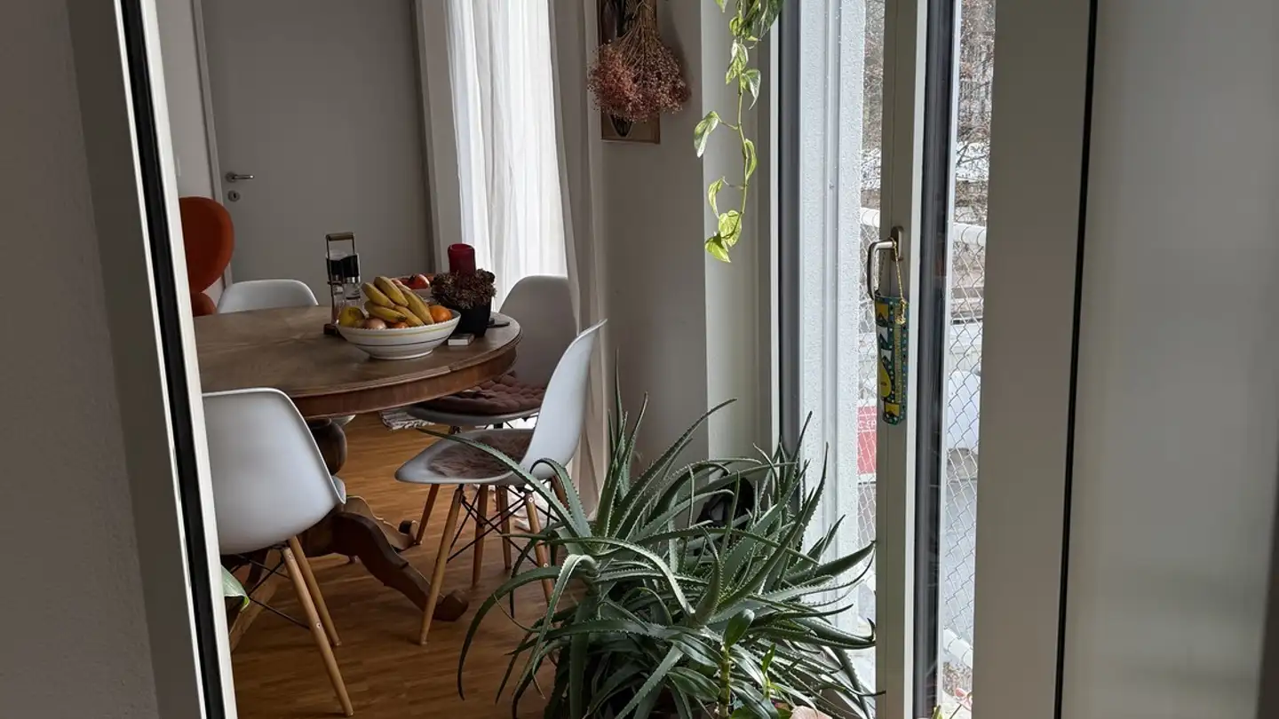 Chambre à louer - 8052 Zürich - Photo 3