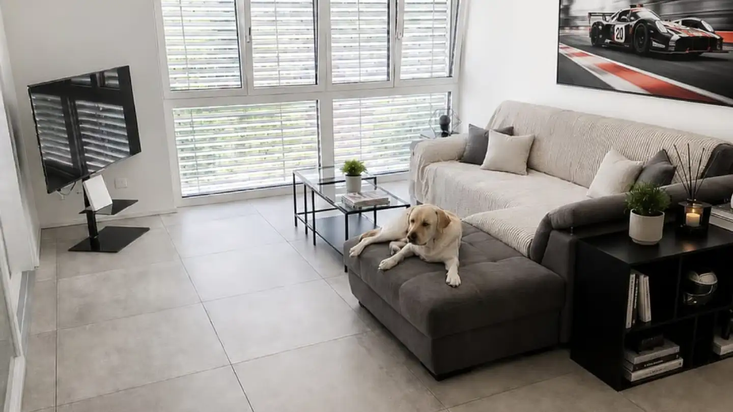 Appartement à louer - Via Cabione 1, 6900 Massagno - Photo 2